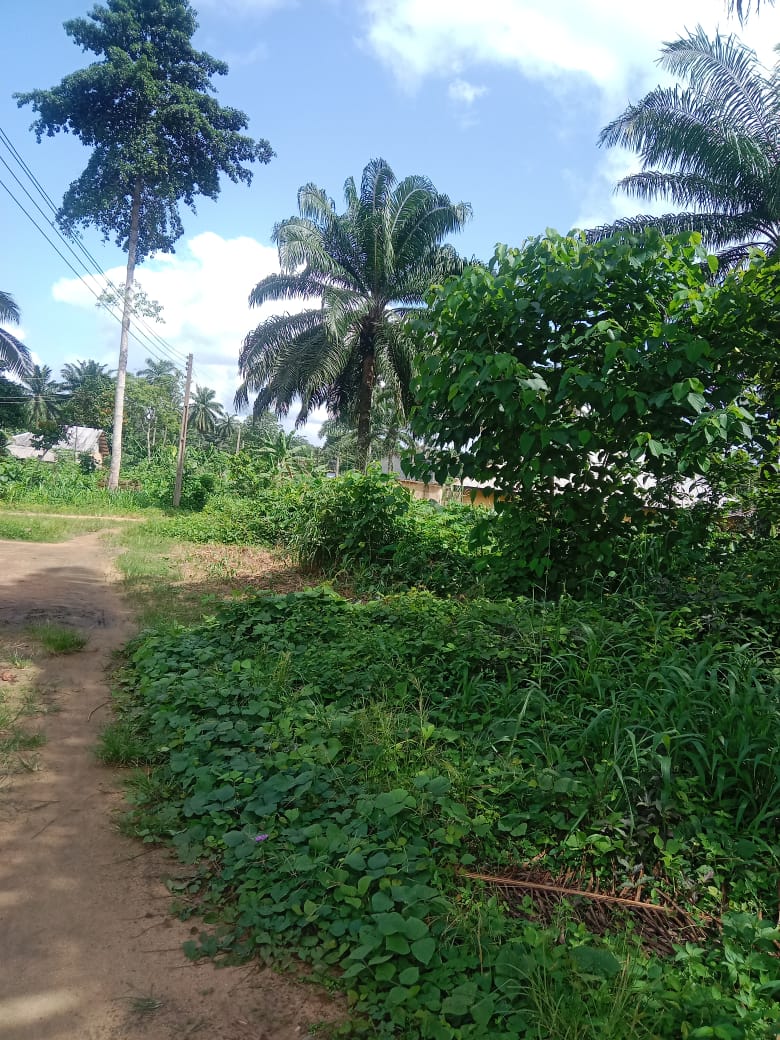IMG-20240214-WA0004