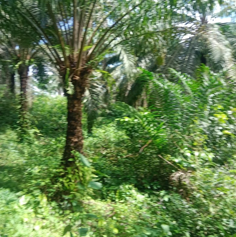 IMG-20240214-WA0005