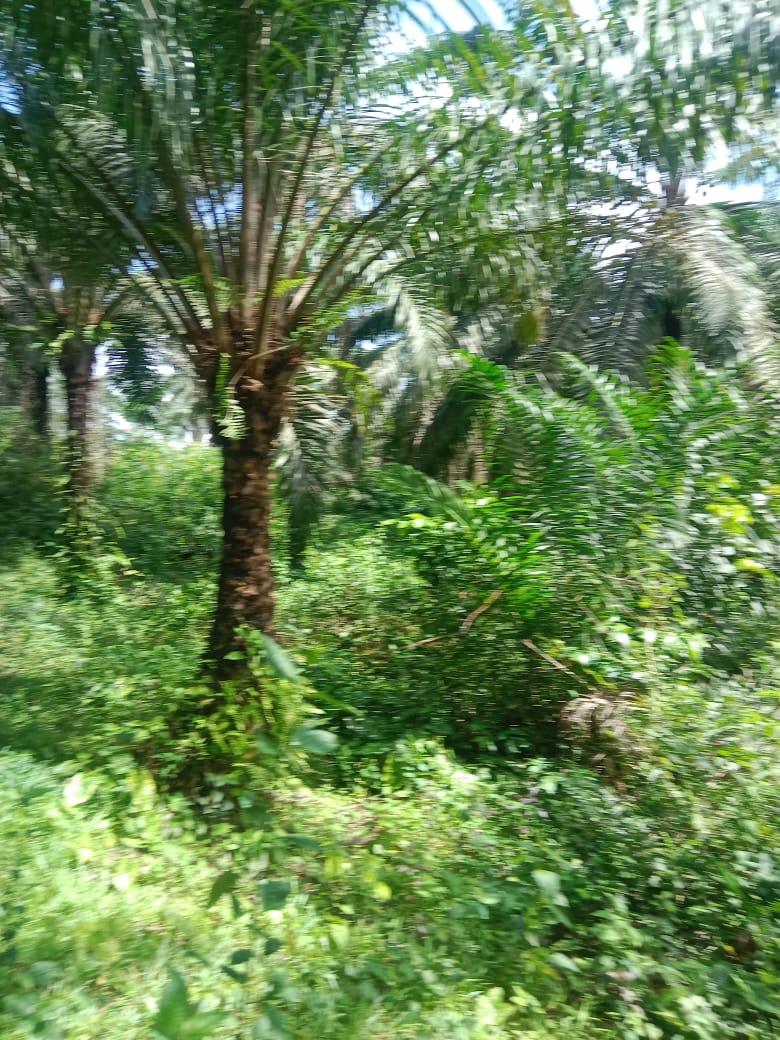IMG-20240214-WA0005