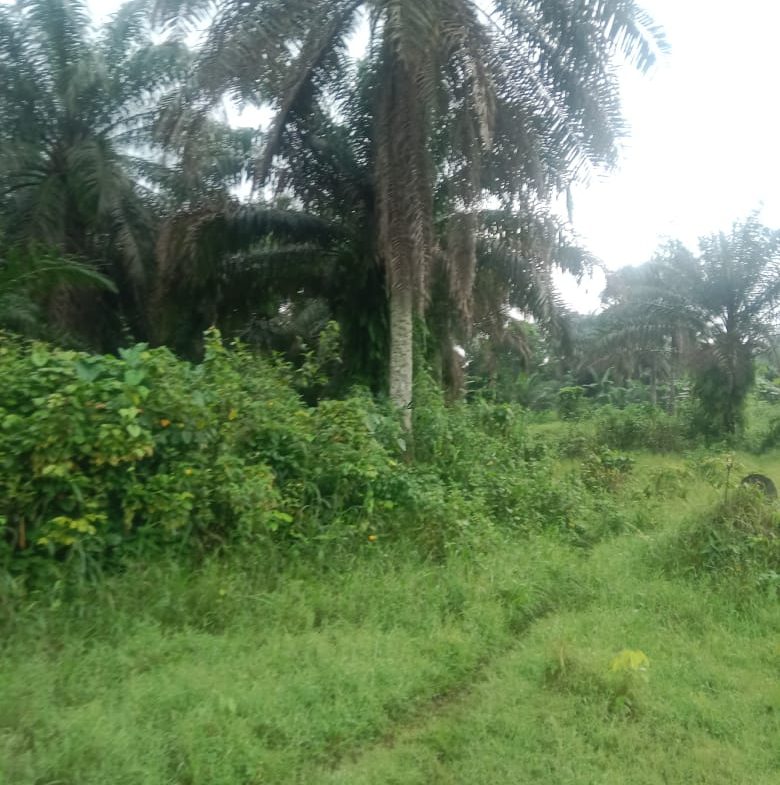 IMG-20240214-WA0021