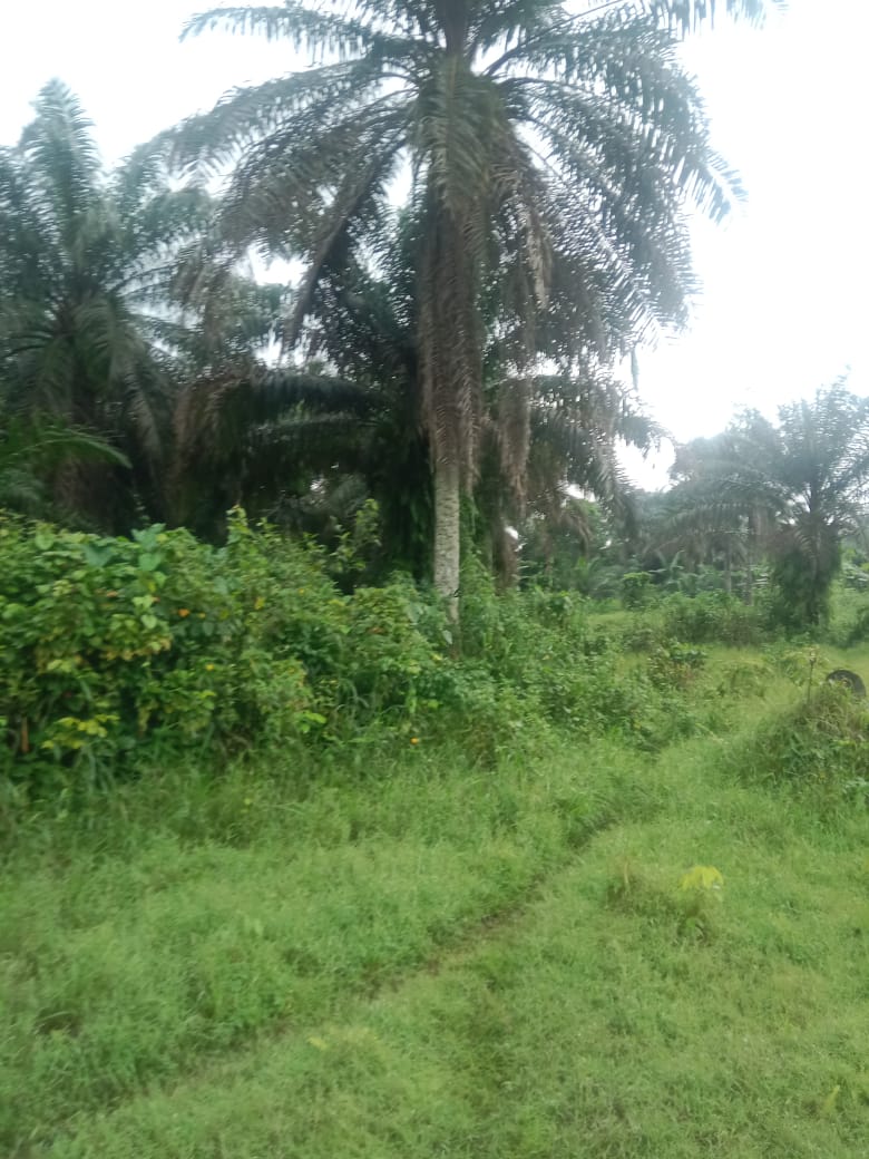 IMG-20240214-WA0021