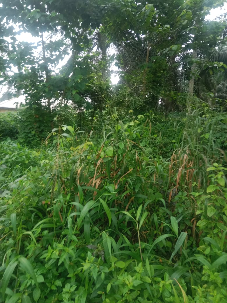 IMG-20240214-WA0022