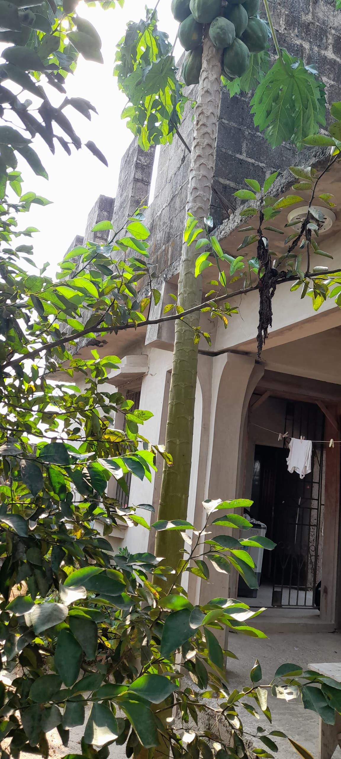 WhatsApp Image 2025-04-30 at 22.53.45_3b4b3823