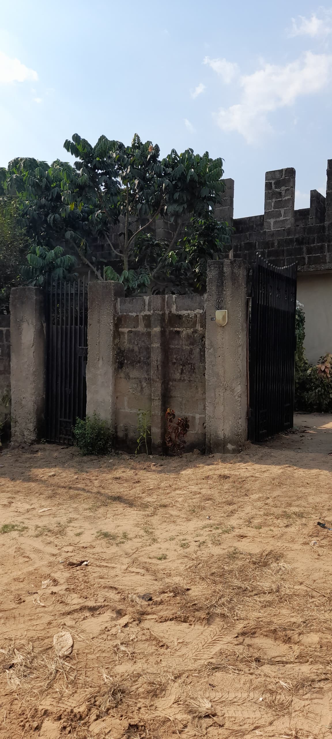 WhatsApp Image 2025-04-30 at 22.53.48_8b7d26fa