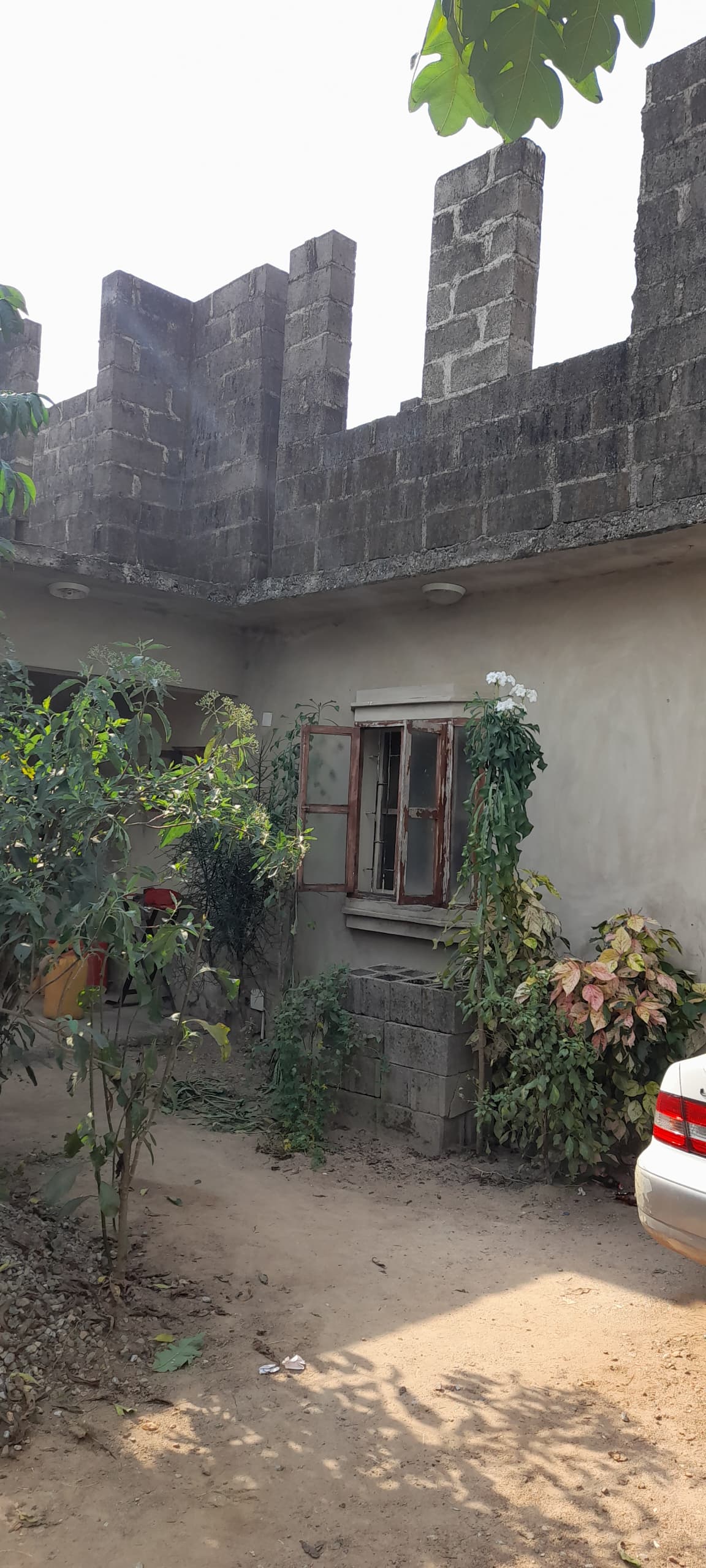 WhatsApp Image 2025-04-30 at 22.53.48_ab2b202e